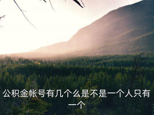 公積金帳號有幾個么是不是一個人只有一個