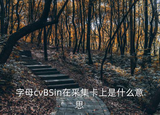 字母cvBSin在采集卡上是什么意思