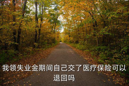 我領(lǐng)失業(yè)金期間自己交了醫(yī)療保險可以退回嗎
