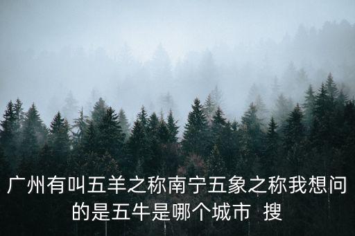 廣州有叫五羊之稱南寧五象之稱我想問的是五牛是哪個城市  搜