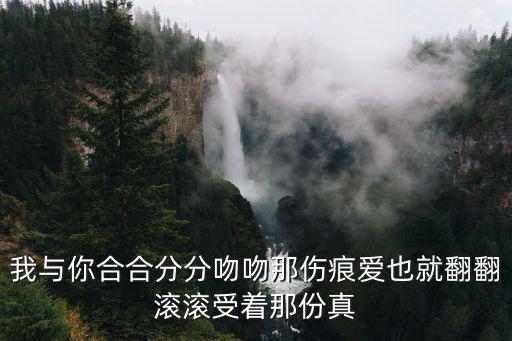 我與你合合分分吻吻那傷痕愛也就翻翻滾滾受著那份真