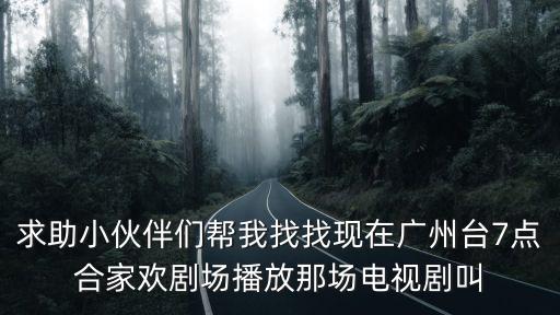 求助小伙伴們幫我找找現(xiàn)在廣州臺(tái)7點(diǎn)合家歡劇場(chǎng)播放那場(chǎng)電視劇叫
