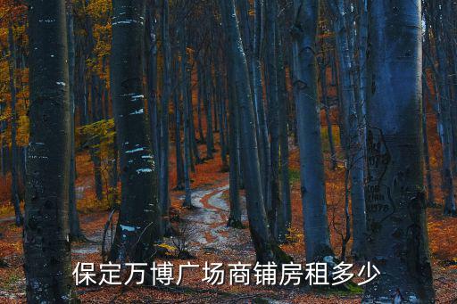 萬(wàn)博廣場(chǎng)，保定萬(wàn)博廣場(chǎng)每層都有什么