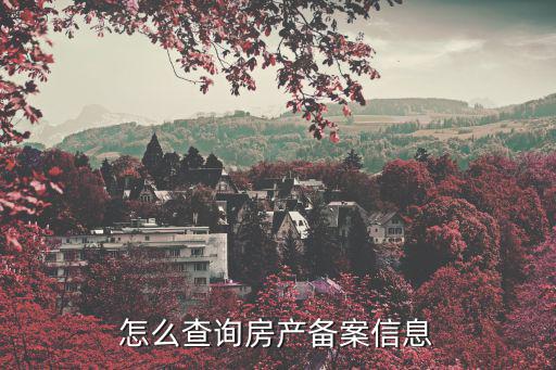 怎么查詢房產(chǎn)備案信息
