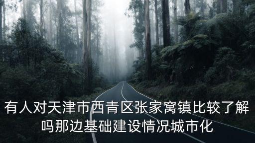 有人對天津市西青區(qū)張家窩鎮(zhèn)比較了解嗎那邊基礎(chǔ)建設(shè)情況城市化