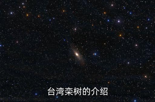 臺灣欒樹，這是什么植物