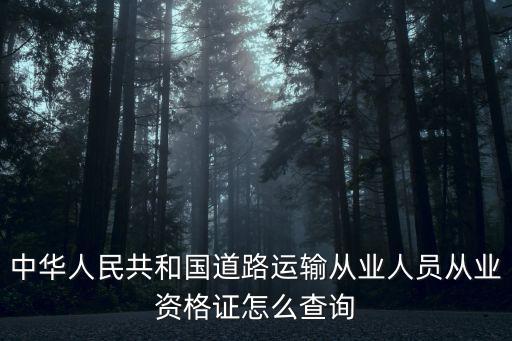 中華人民共和國道路運輸從業人員從業資格證怎么查詢