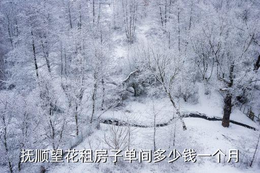 撫順望花租房子單間多少錢一個月