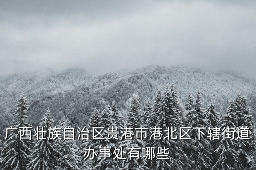 廣西壯族自治區貴港市港北區下轄街道辦事處有哪些
