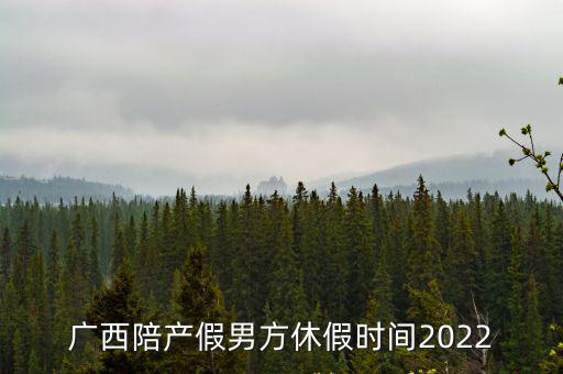 廣西陪產假，廣西陪產假男方休假時間2022