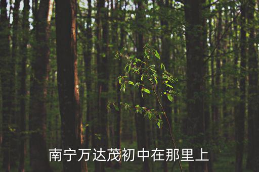 南寧萬達茂初中在那里上