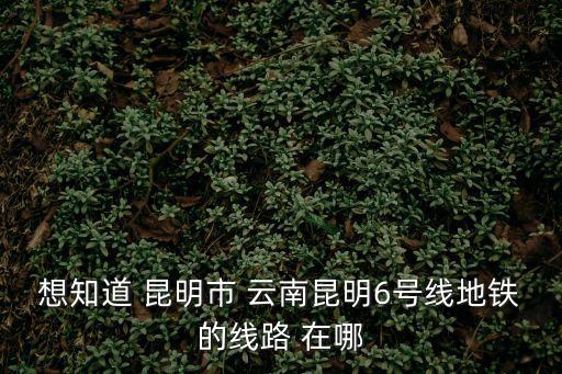 軌道交通6號(hào)線，地鐵6號(hào)線