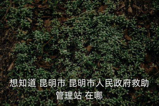 想知道 昆明市 昆明市人民政府救助管理站 在哪