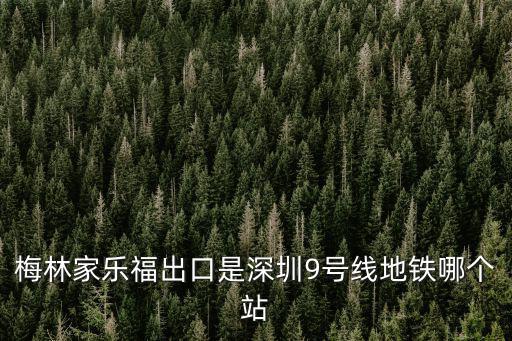 梅林家樂福出口是深圳9號線地鐵哪個站