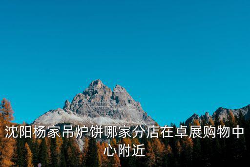 沈陽楊家吊爐餅哪家分店在卓展購物中心附近