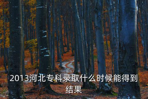 2013河北?？其浫∈裁磿r(shí)候能得到結(jié)果