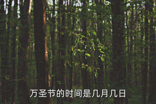 萬圣節(jié)的時間是幾月幾日