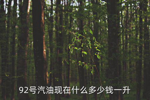92號汽油價，92號汽油百公里64升每公里多少錢