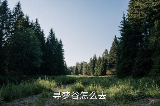 尋夢谷，想知道 貴陽市 尋夢谷 在哪
