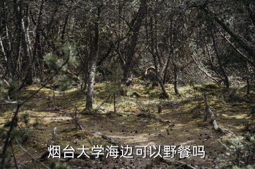 煙臺大學海邊可以野餐嗎
