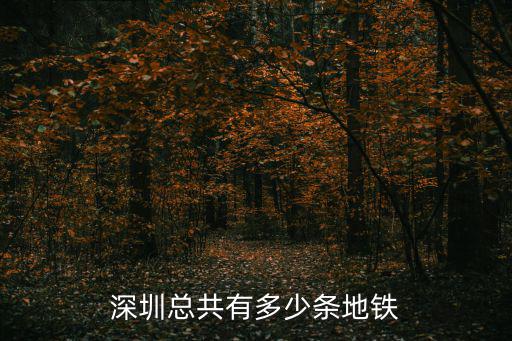 深圳20號地鐵，深圳總共有多少條地鐵