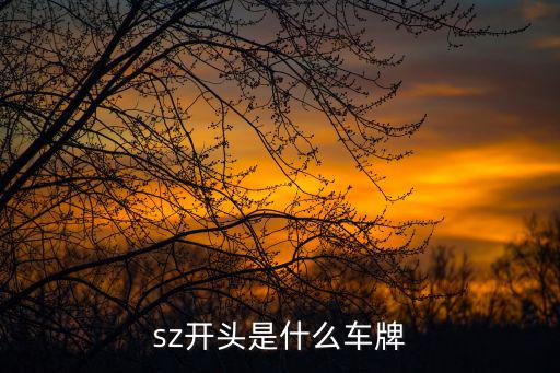 sz開頭是什么車牌