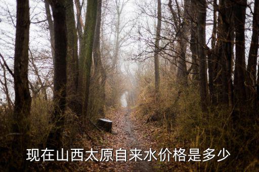 自來水的價格，每噸自來水的價格是多少元