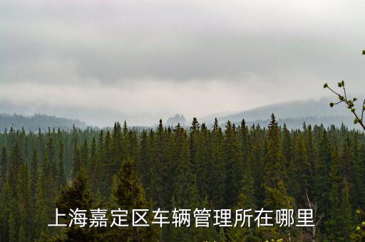 嘉定車管所，上海嘉定區車輛管理所在哪里