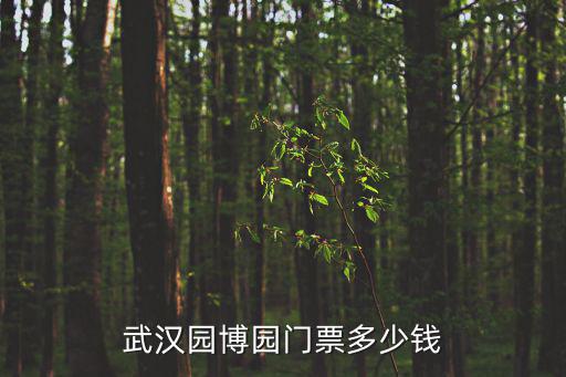 園博園門票，武漢園博園門票多少錢