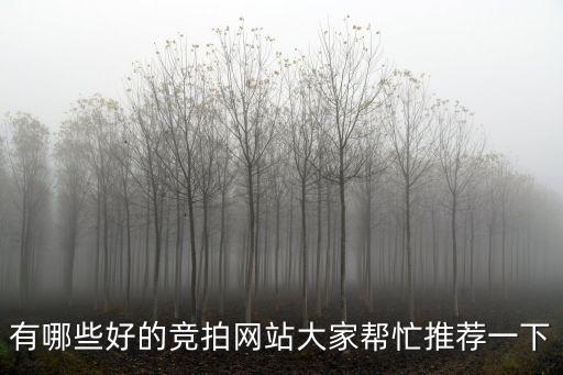 有哪些好的競拍網(wǎng)站大家?guī)兔ν扑]一下