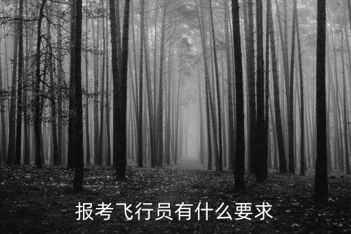 報考飛行員有什么要求