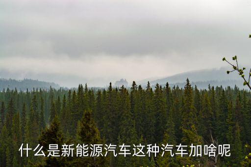 什么是新能源汽車這種汽車加啥呢