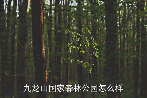 九龍山國家森林公園，九龍山旅游度假區的介紹