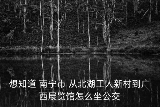 想知道 南寧市 從北湖工人新村到廣西展覽館怎么坐公交