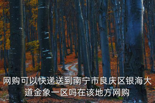 網(wǎng)購可以快遞送到南寧市良慶區(qū)銀海大道金象一區(qū)嗎在該地方網(wǎng)購