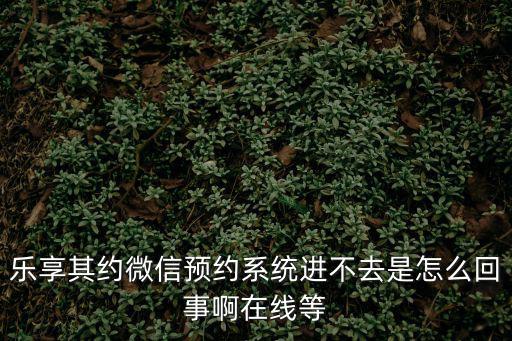 樂享其約微信預約系統進不去是怎么回事啊在線等