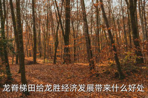 龍脊梯田給龍勝經(jīng)濟發(fā)展帶來什么好處