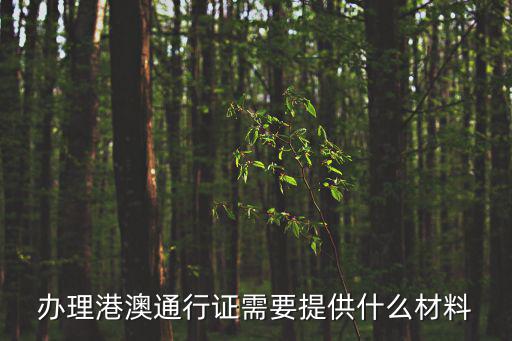 辦理港澳通行證需要什么材料，辦理港澳通行證需要提供什么材料