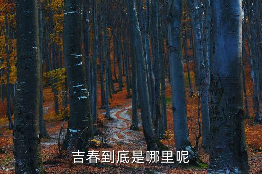 吉春，吉春市在什么地方