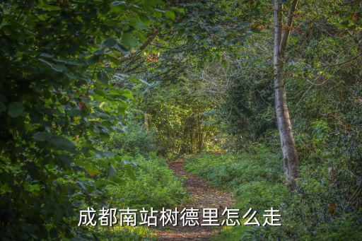成都南站樹德里怎么走