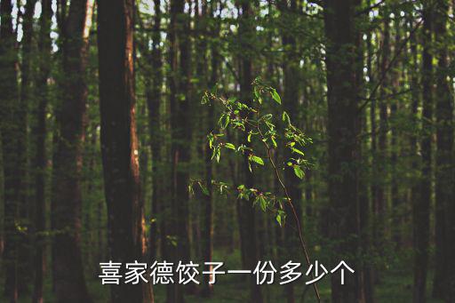 喜家德餃子一份多少個