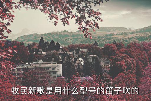 簡廣易，牧民新歌是用什么型號的笛子吹的