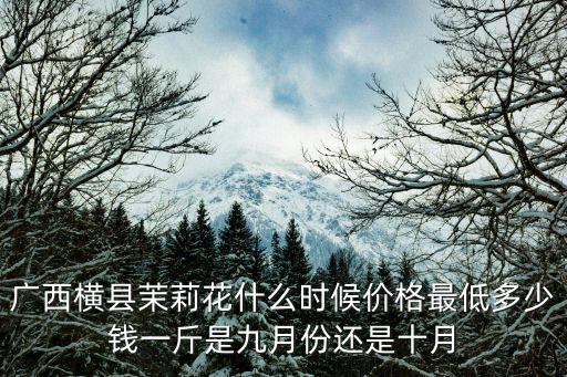 廣西橫縣茉莉花什么時候價格最低多少錢一斤是九月份還是十月