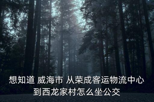 西龍村，湖南長沙市西龍村馬坡嶺街道郵編是多少