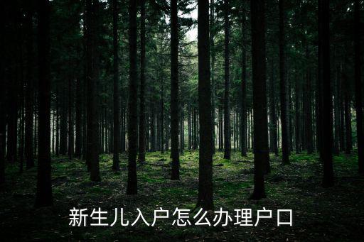 新生兒辦理戶口，新生兒戶口辦理流程是怎么樣的