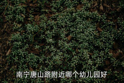 南寧唐山路附近哪個幼兒園好