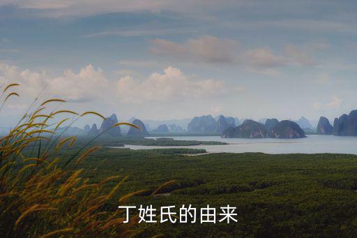 丁姓氏的由來