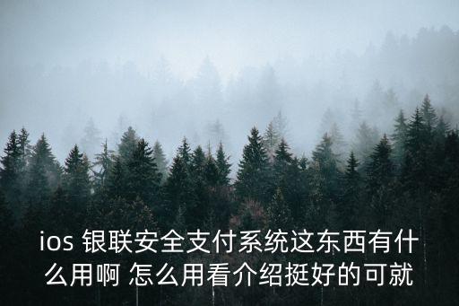 ios 銀聯安全支付系統這東西有什么用啊 怎么用看介紹挺好的可就