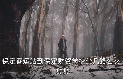 保定客運站到保定財貿(mào)學(xué)校坐幾路公交 謝謝