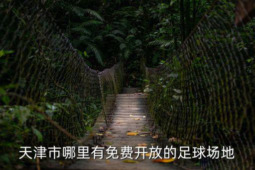 天津足球，天津足球在中國排第幾